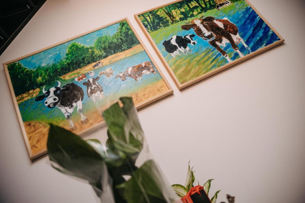 Zamość Apartament Mazagran מראה חיצוני תמונה